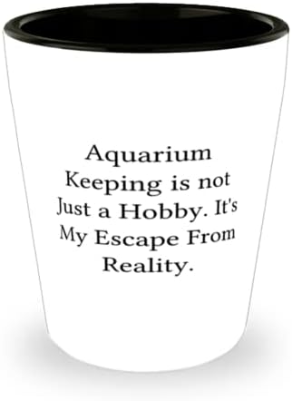 Полезни подаръци за аквариум, съдържанието на аквариума - това не е просто хоби. Това е моята уникална чаша за мъже