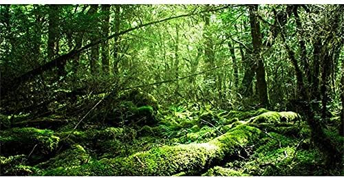 AWERT 36x20 инча Тропически Фон за Терариум Фон За Аквариум с Тропически Гори Зелено Дърво на Фона на местообитанията на Влечугите Здрав Полиестер Фон