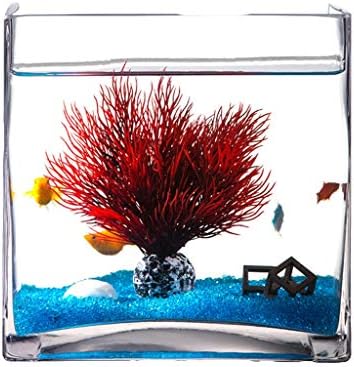 hanxiaoyishop Аквариум за риби, Индивидуалност, Творчески Квадратен Стъклен Аквариум за риби, Домашни Хол, Настолен