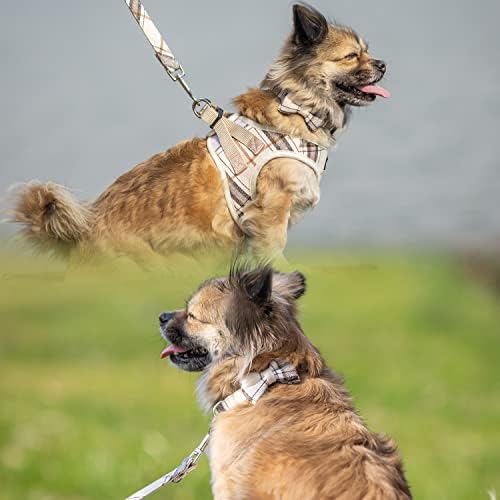 JVVGPET куче шлейка за малки кучета - Карирани жилетка без закопчалка за кучета, комплект колан и каишка Стъпки