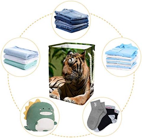 Кошница за дрехи MAPOLO Big Tiger Сгъваема Кошница за съхранение на бельо с Дръжки, Подвижни Скоби, Добре Задържа