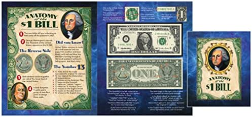 Съкровищата на американската монети Анатомия долара