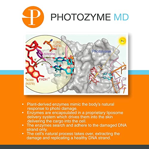 PHOTOZYME DNA Repair Enzymes СДФ Plus Нощен Серум за лице | 0,5% Ретинол против Стареене Козметични Грижи за кожата